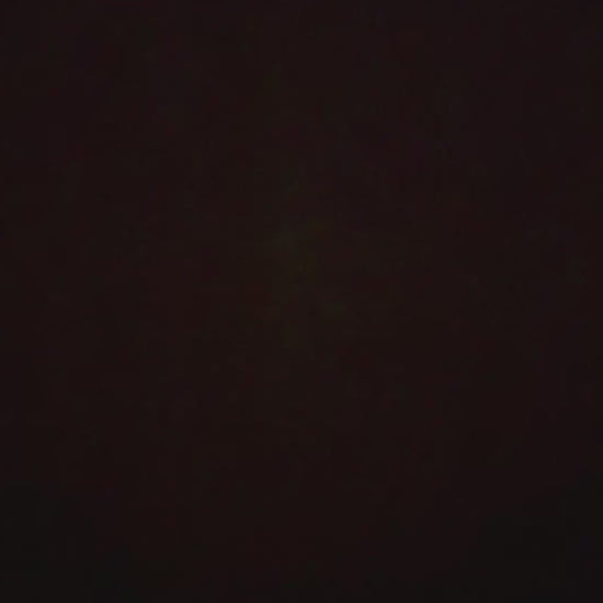 Video: Gesang - Just One Last Dance - Sarah Connor Song