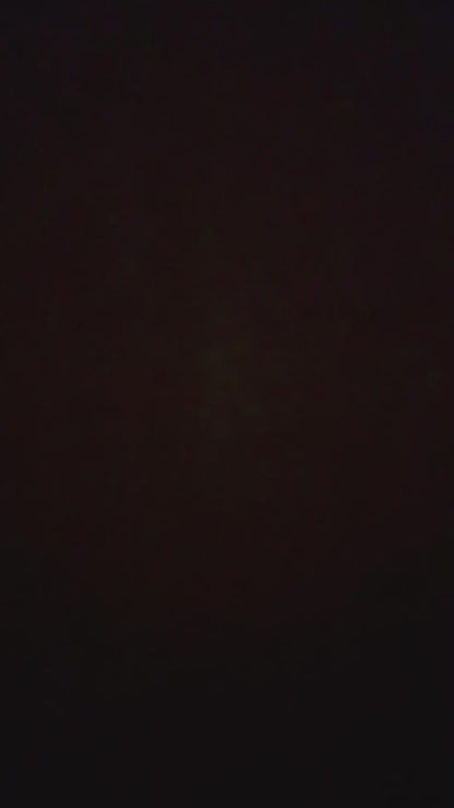 Video: Gesang - Just One Last Dance - Sarah Connor Song